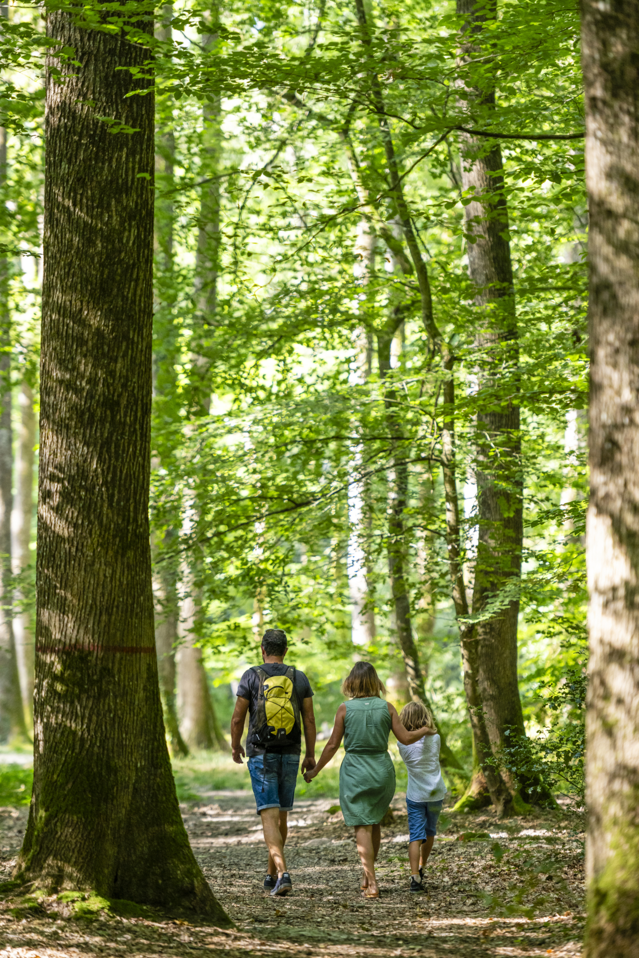 Spectacles, contes et découvertes en pleine nature