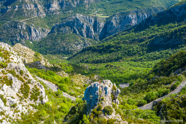 Découvrez la forêt d&rsquo;Aiguines