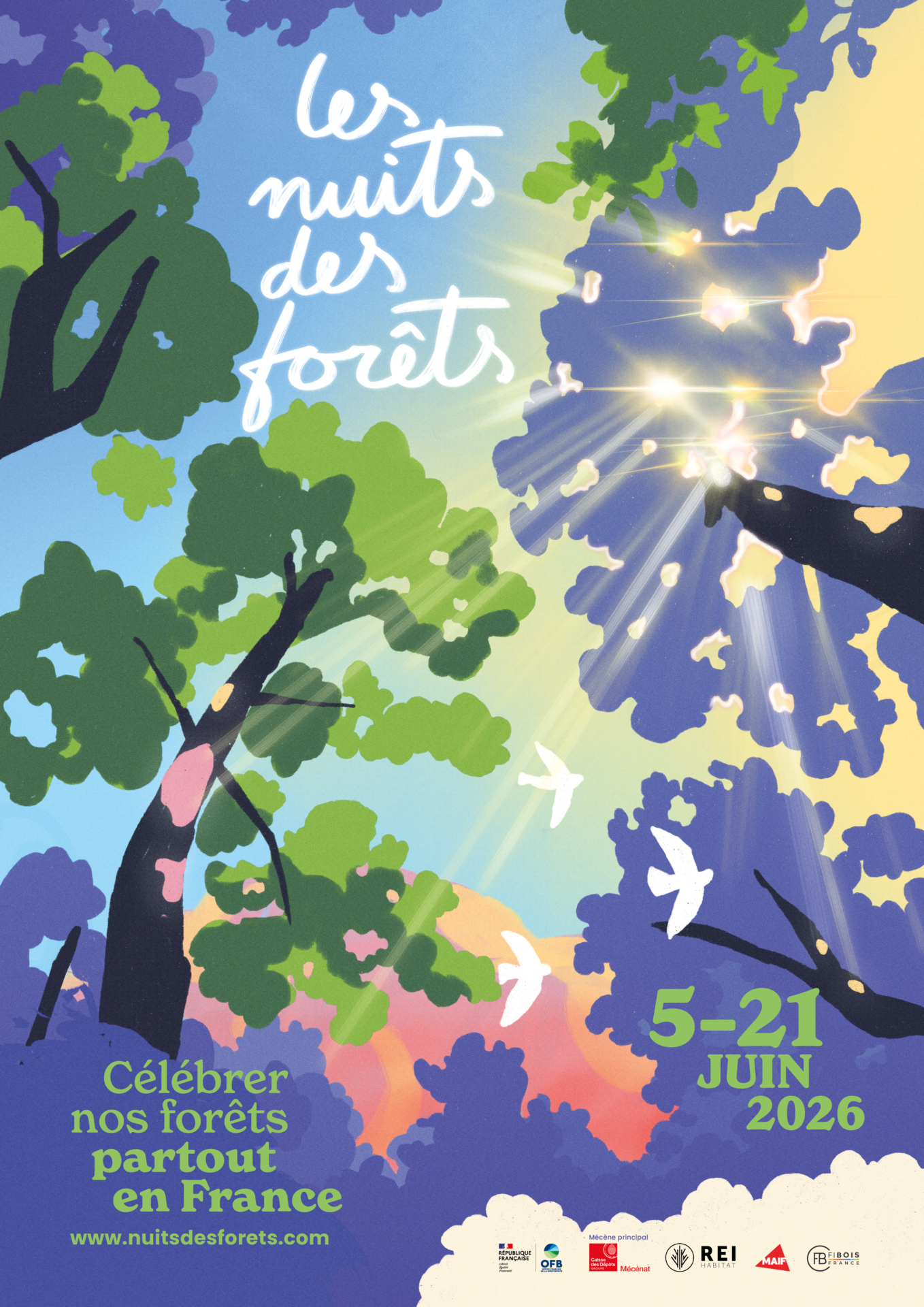 Immersion dans la forêt des Envers
