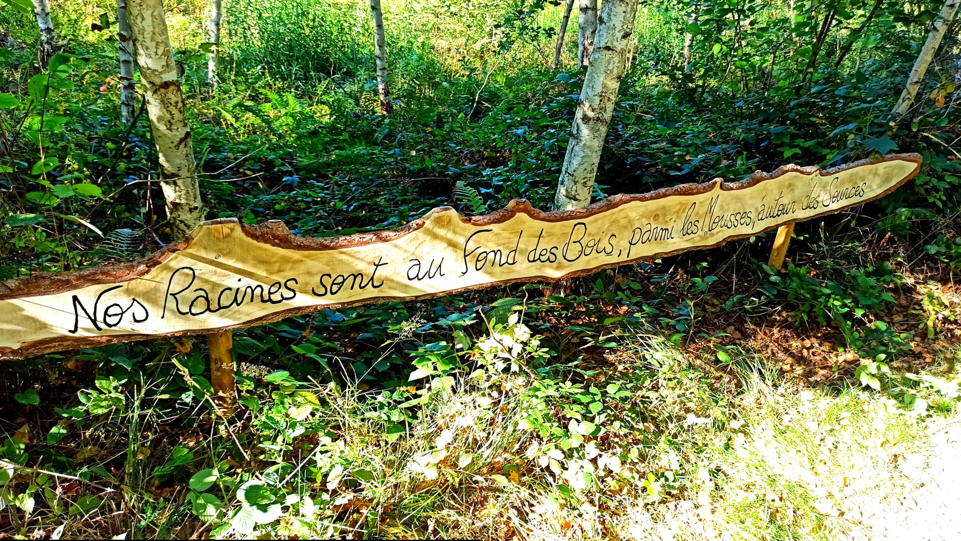 Exposition de photos forestières et animalières “Lieux sauvages” de Pierre RICH