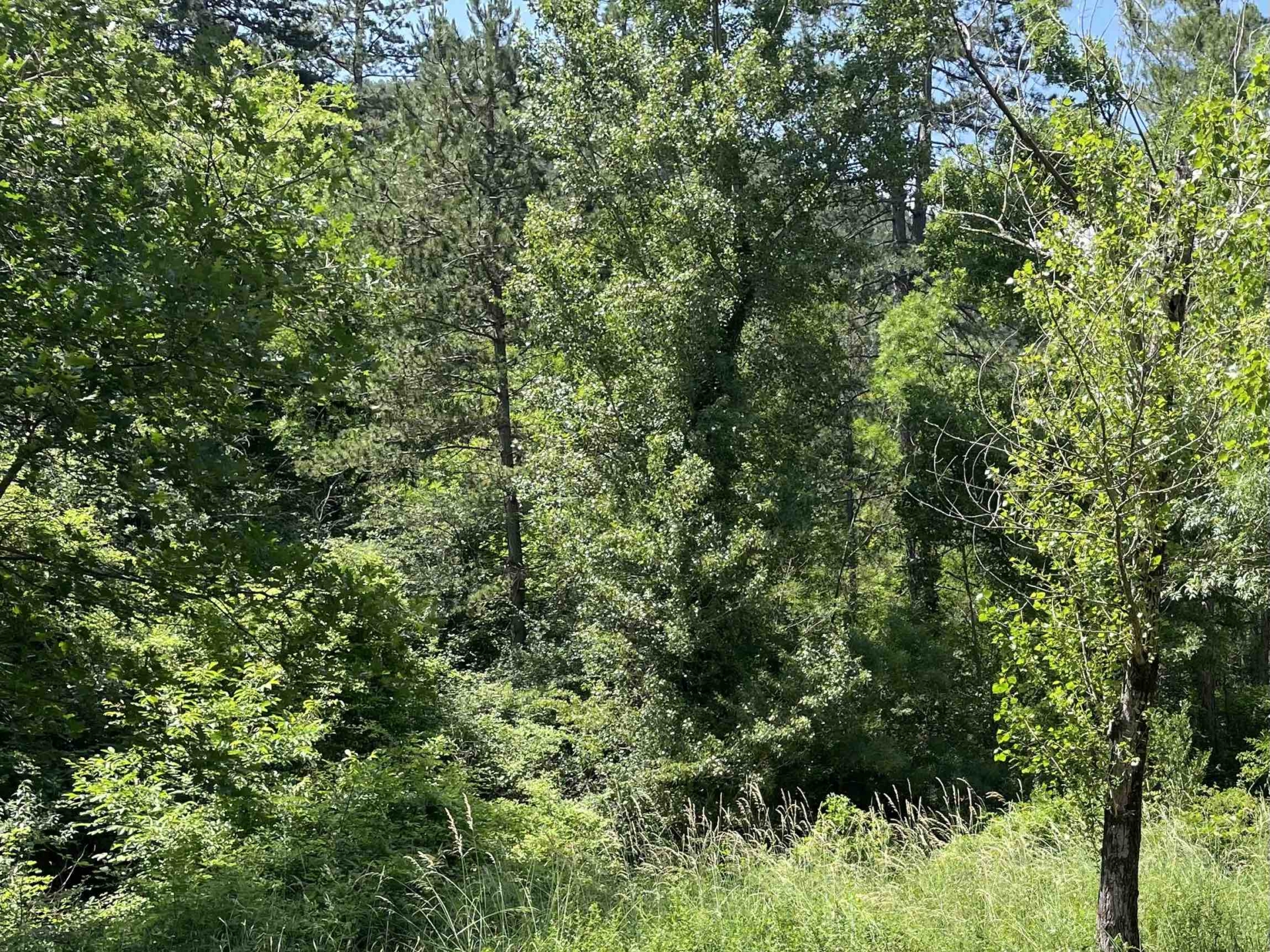 Première de la création « La Maison » par le Théâtre dans la Forêt