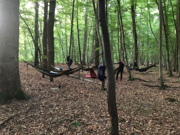 Soirée bivouac dans la forêt de Compiègne