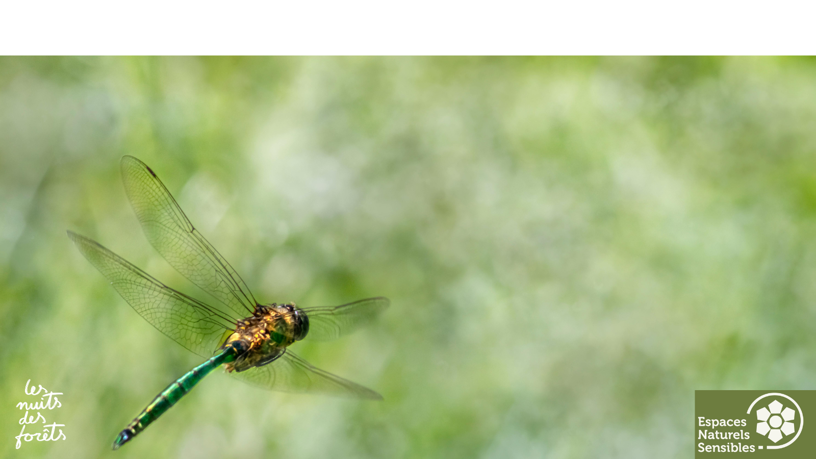 Les acrobates du ciel