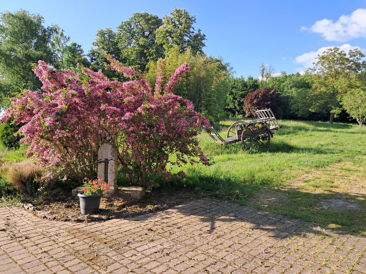 Contes sous l’arbre à palabres : un spectacle pour grandir