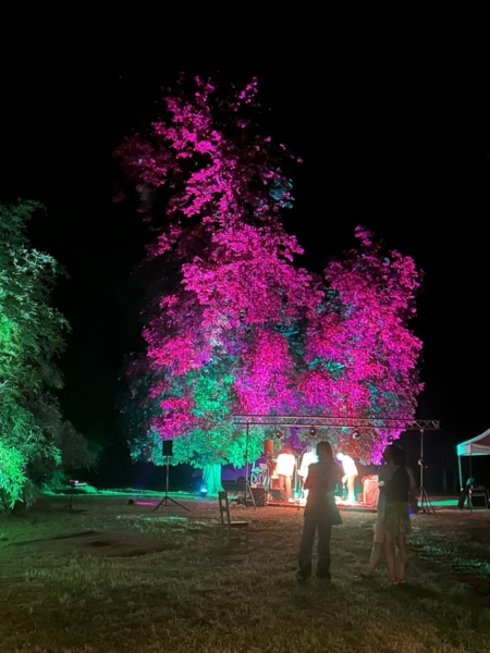 Théâtre en forêt : une scène au cœur de la nature