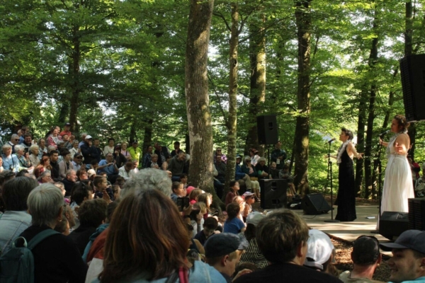 Célébrons la forêt landaise