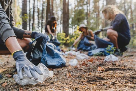 Pour une forêt sans déchets