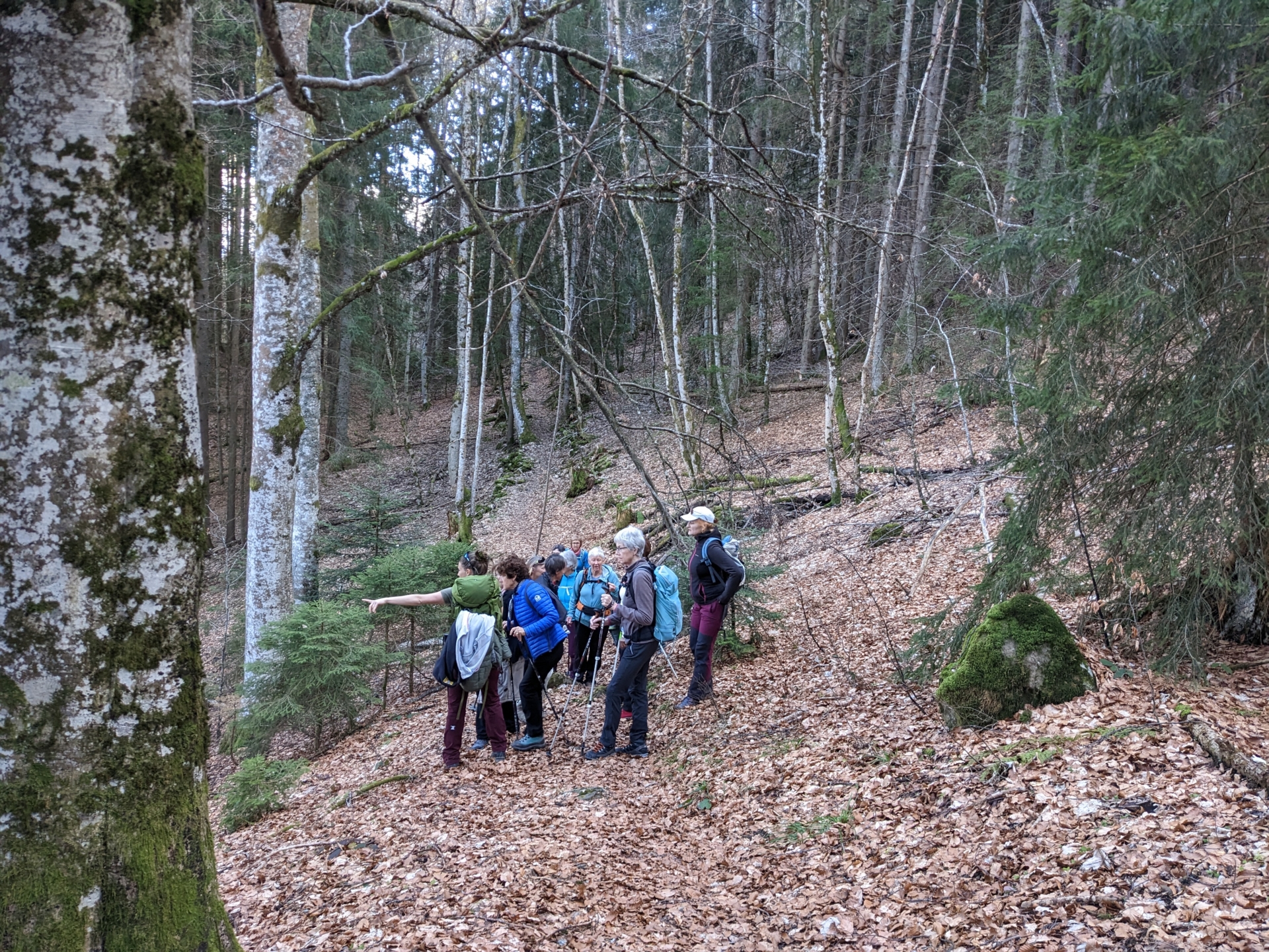 À la tombée du jour : découvrir la forêt autrement – COMPLET