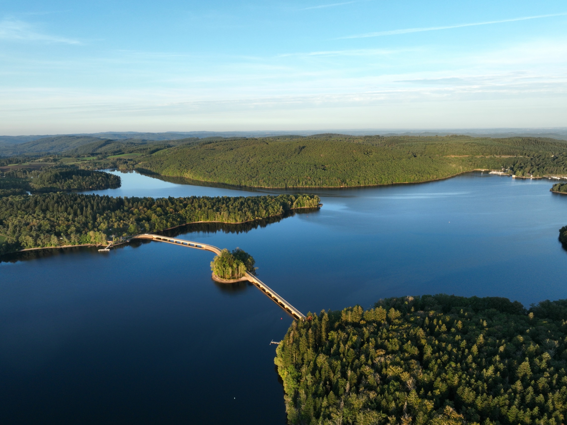 La forêt dans tous ses états