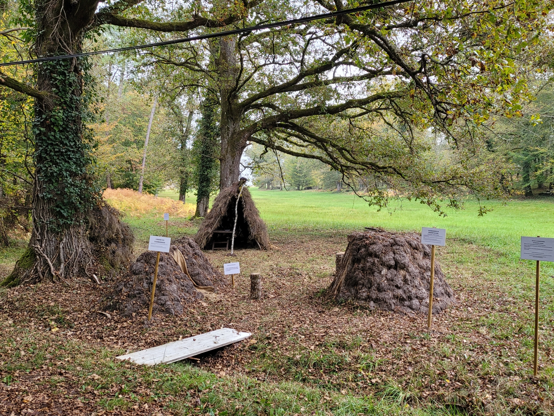 À la découverte des savoir-faire oubliés de la forêt