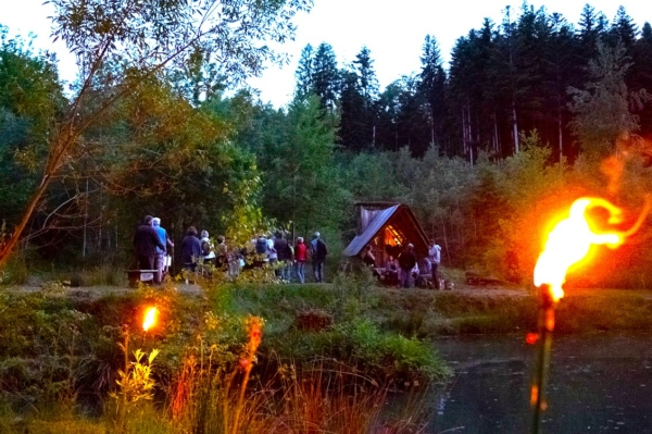 Concert Forest Mecanic