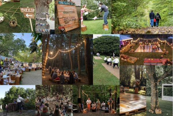 Échos de la forêt – La Margeride en célébration