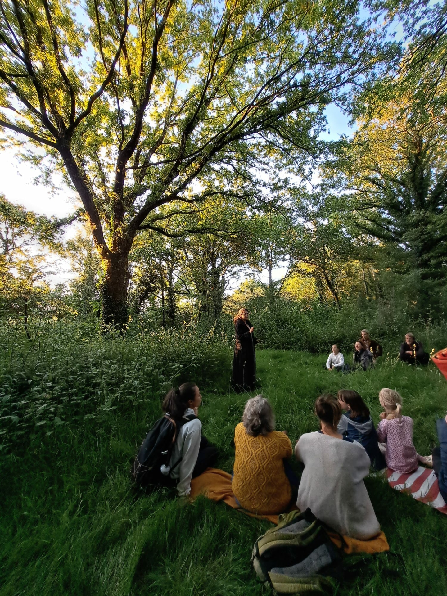 Murmures et merveilles des forêts de Brière