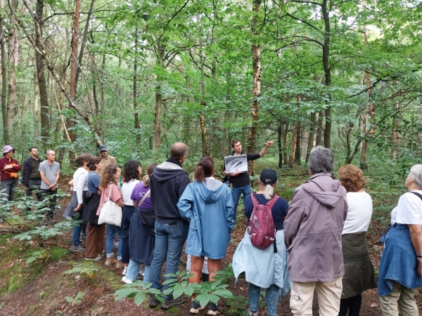 Balades en forêt domaniale de Rambouillet – 20 juin