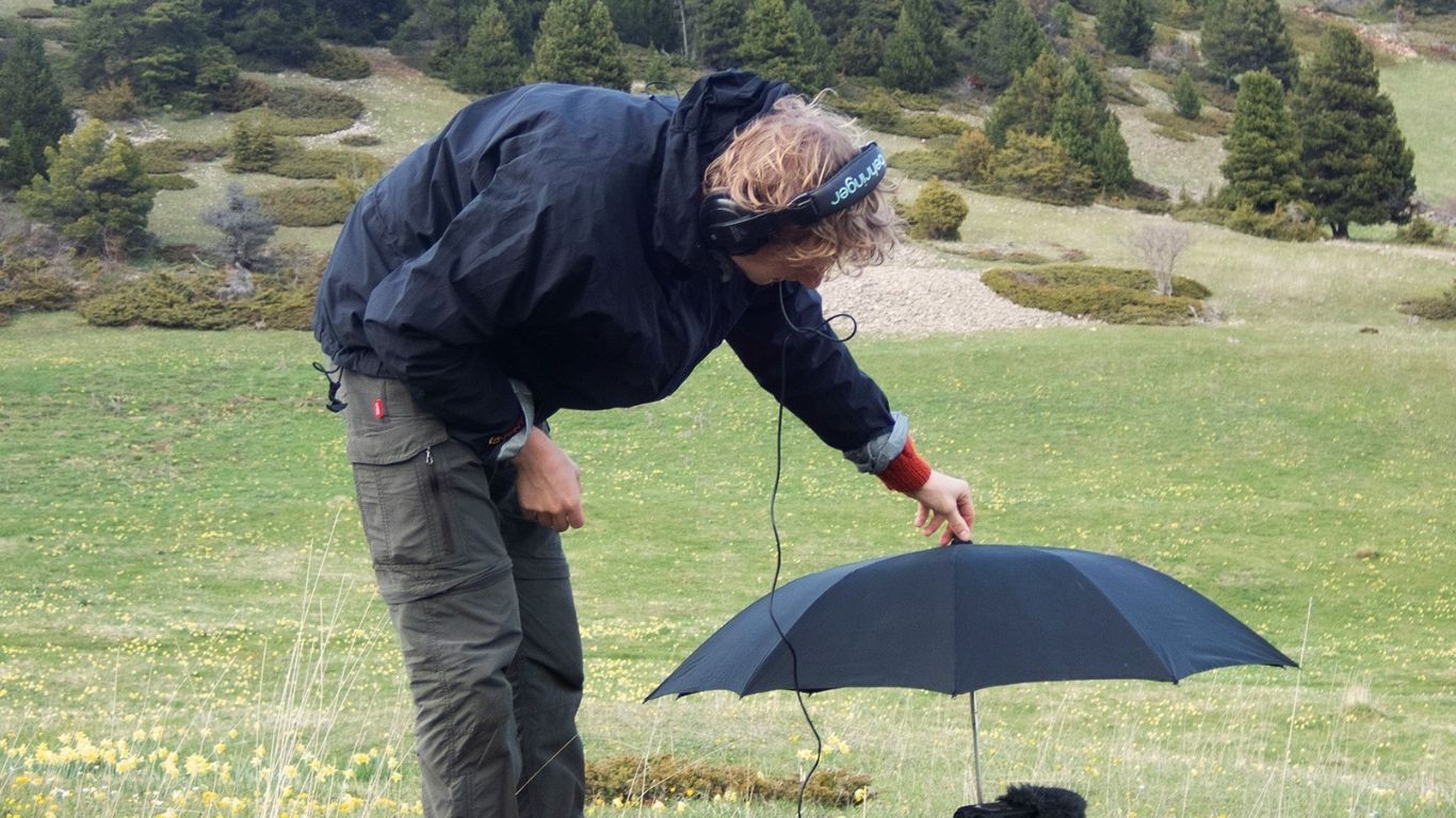 Rencontre avec Daniel Cadot (Sonosylva)