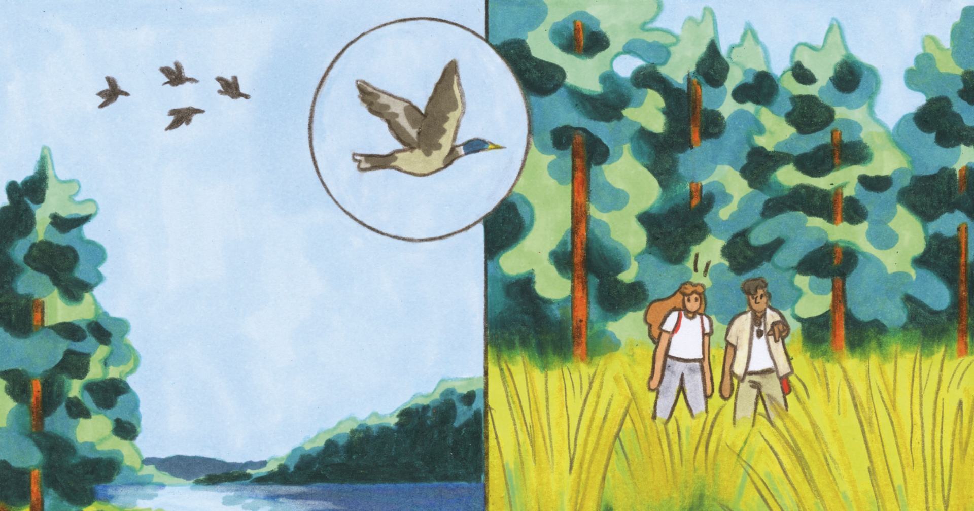 Conférences dessinées et regards croisés sur la forêt