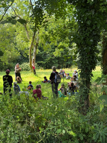 Balade contée famille en forêt de Rambouillet- 21 juin