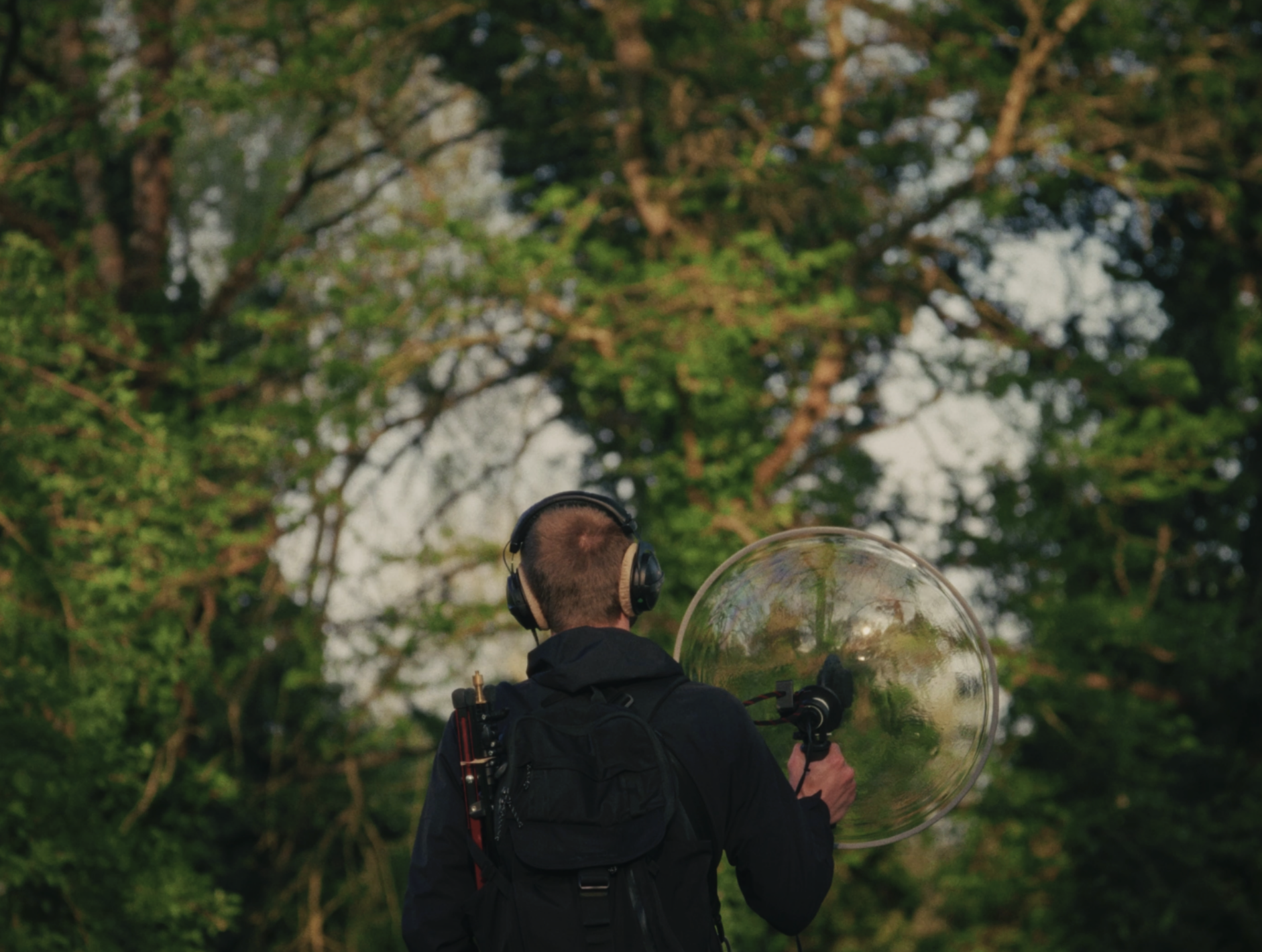 Les Nuits des Forêts dans les Pays de la Loire